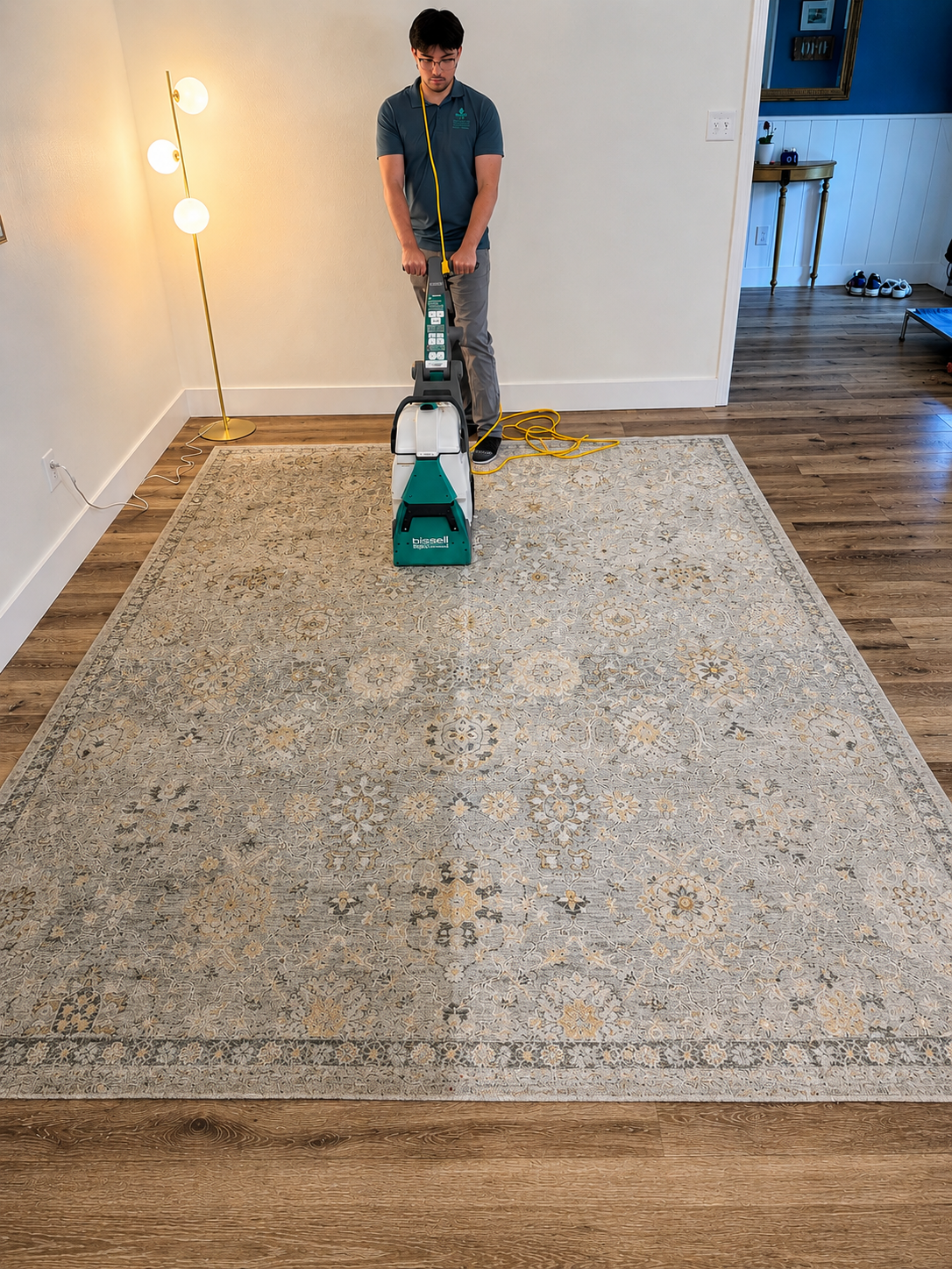 Carpet cleaning portfolio placeholder